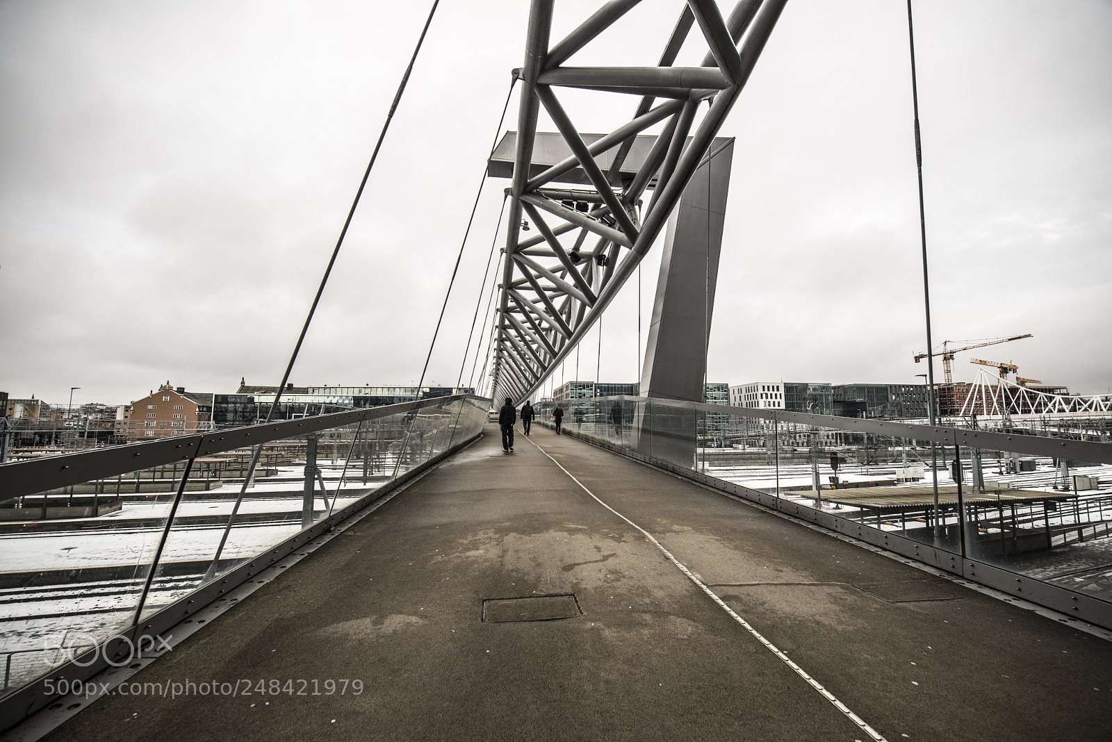 Nikon D800 sample photo. Bridge photography