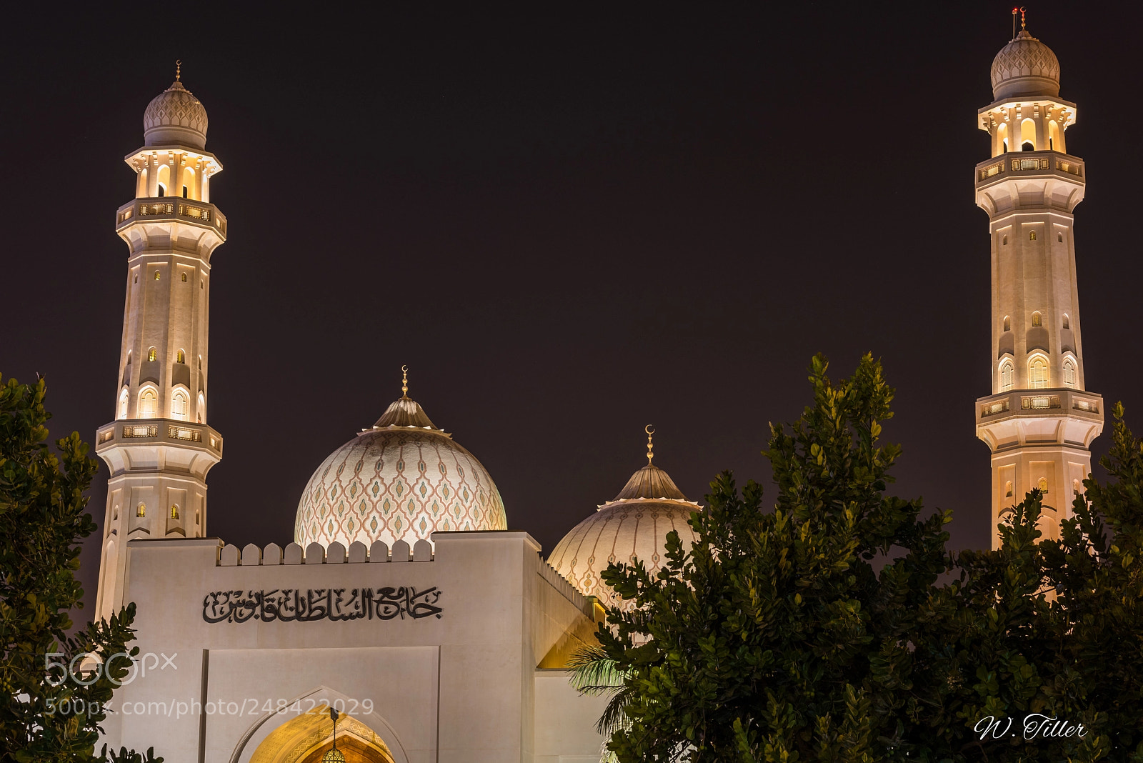 Nikon D810 sample photo. Salalah - sultan qaboos photography
