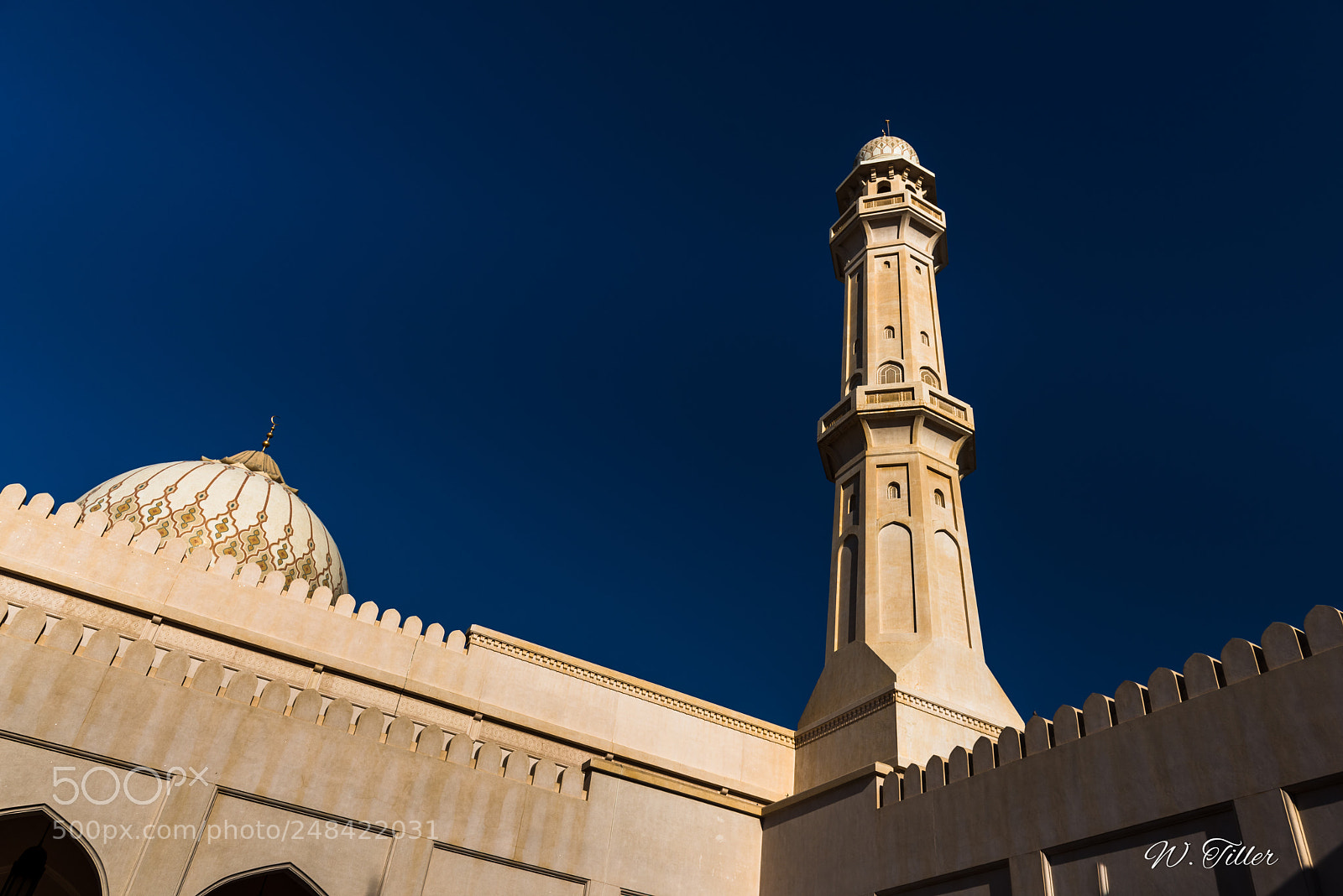 Nikon D810 sample photo. Salalah - sultan qaboos photography