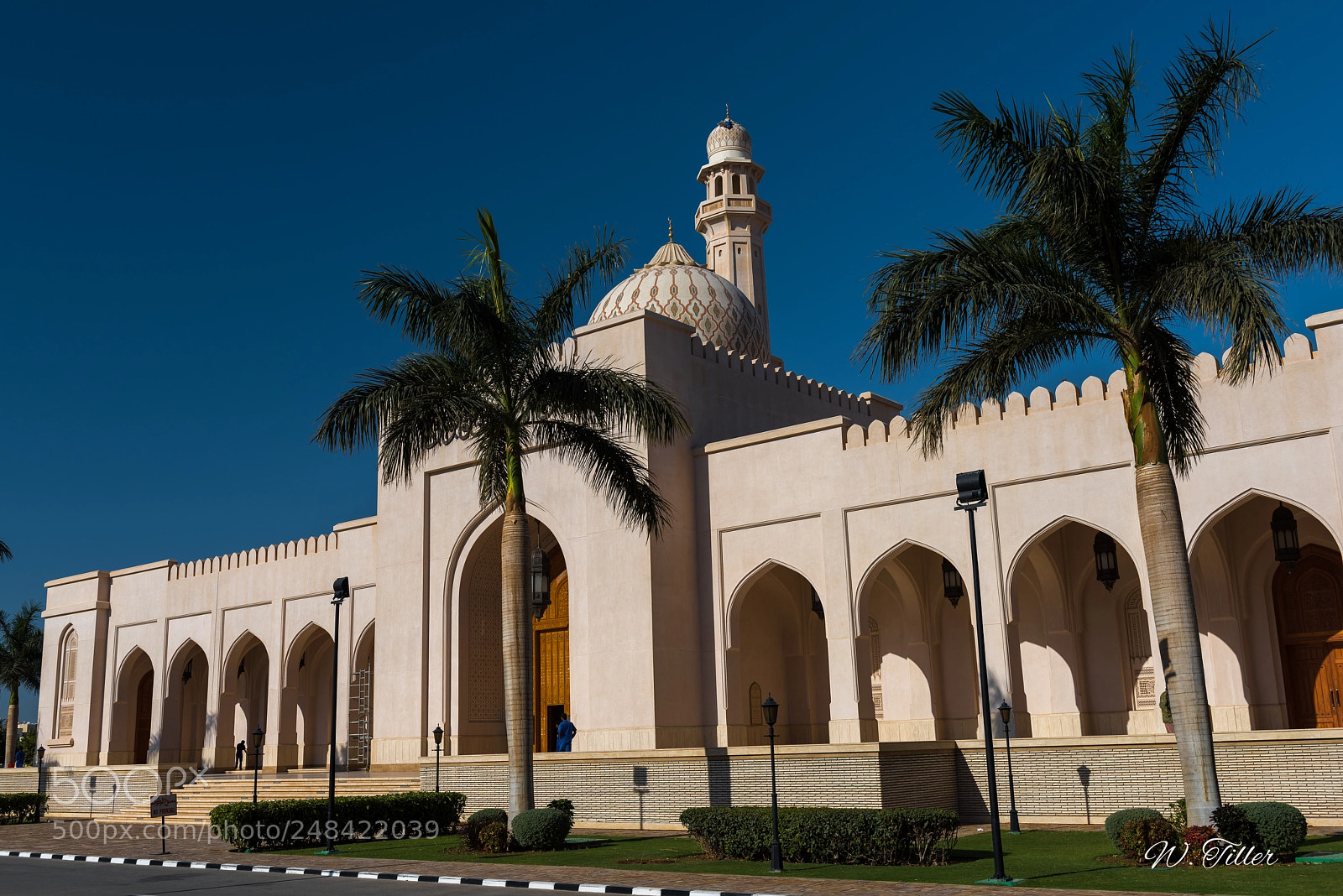 Nikon D810 sample photo. Salalah - sultan qaboos photography