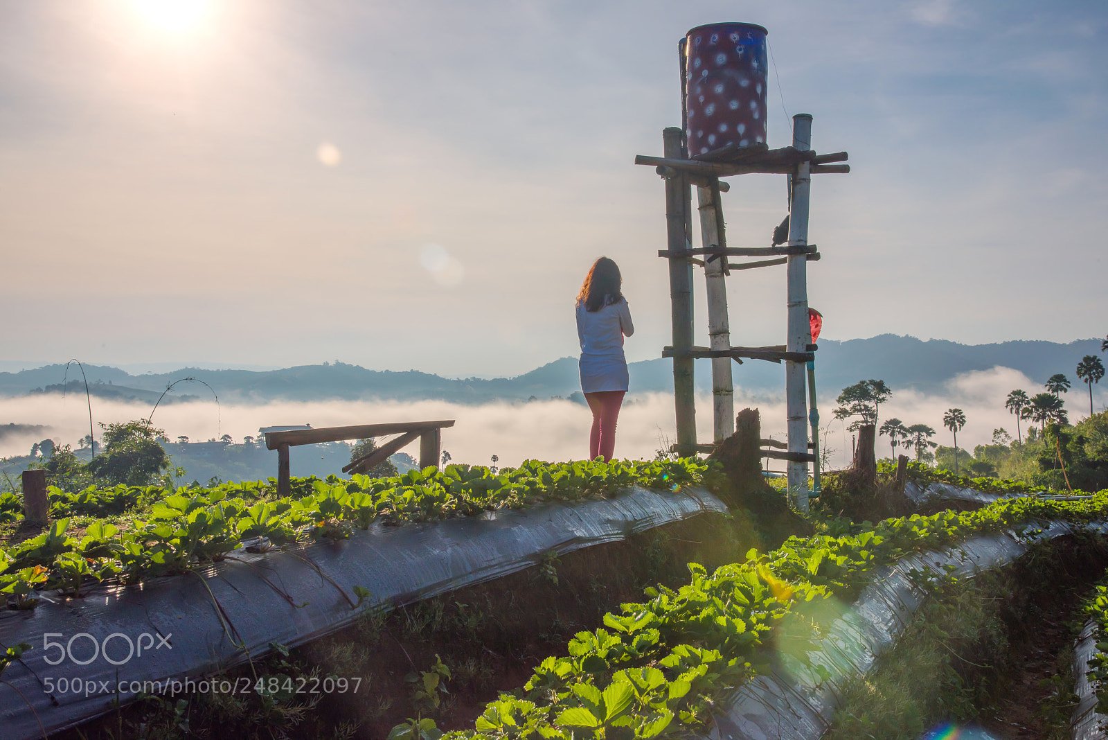 Nikon D810 sample photo. _cha0198-1.jpg photography