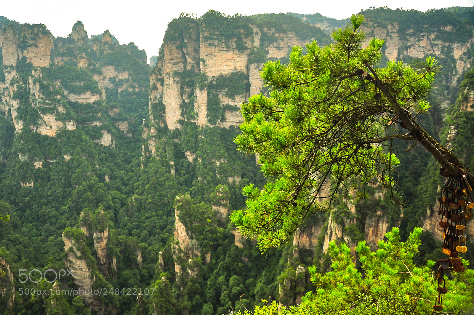 Nikon D90 sample photo. Zhangjiajie national forest park photography