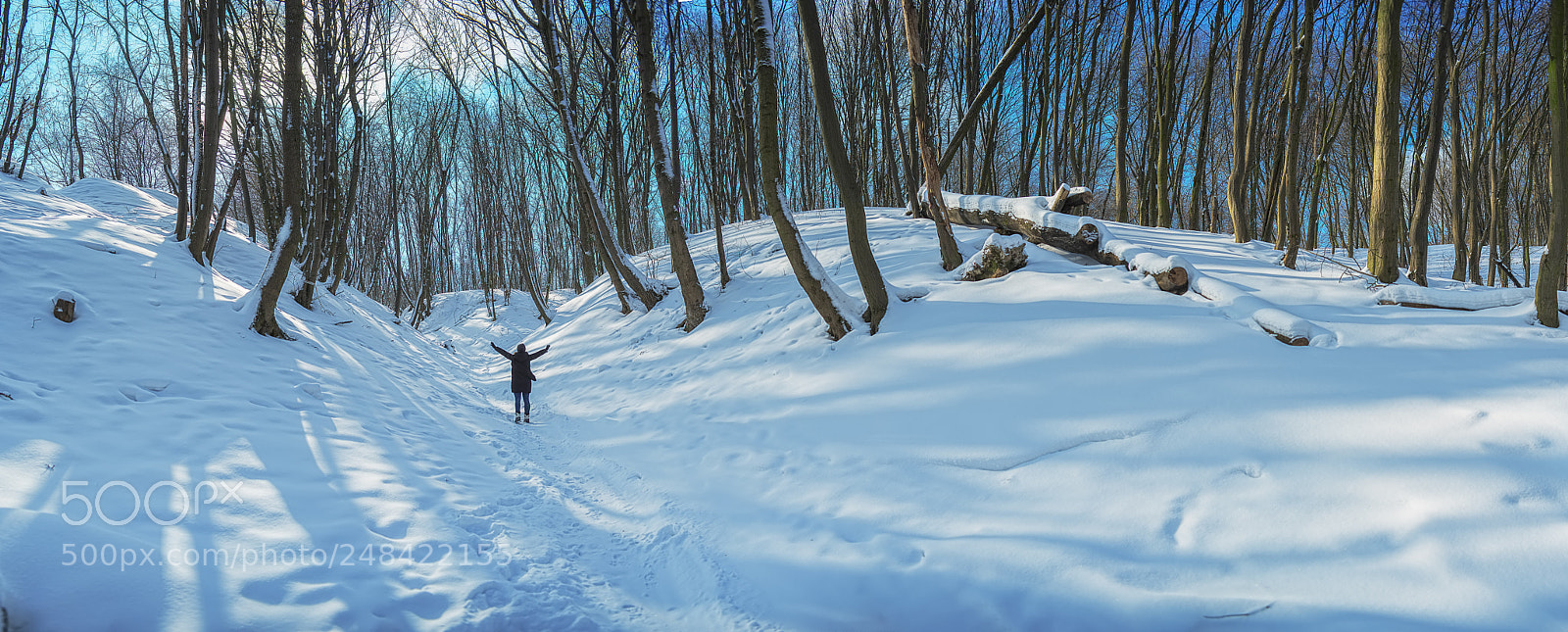 Nikon D800E sample photo. Sunny morning photography