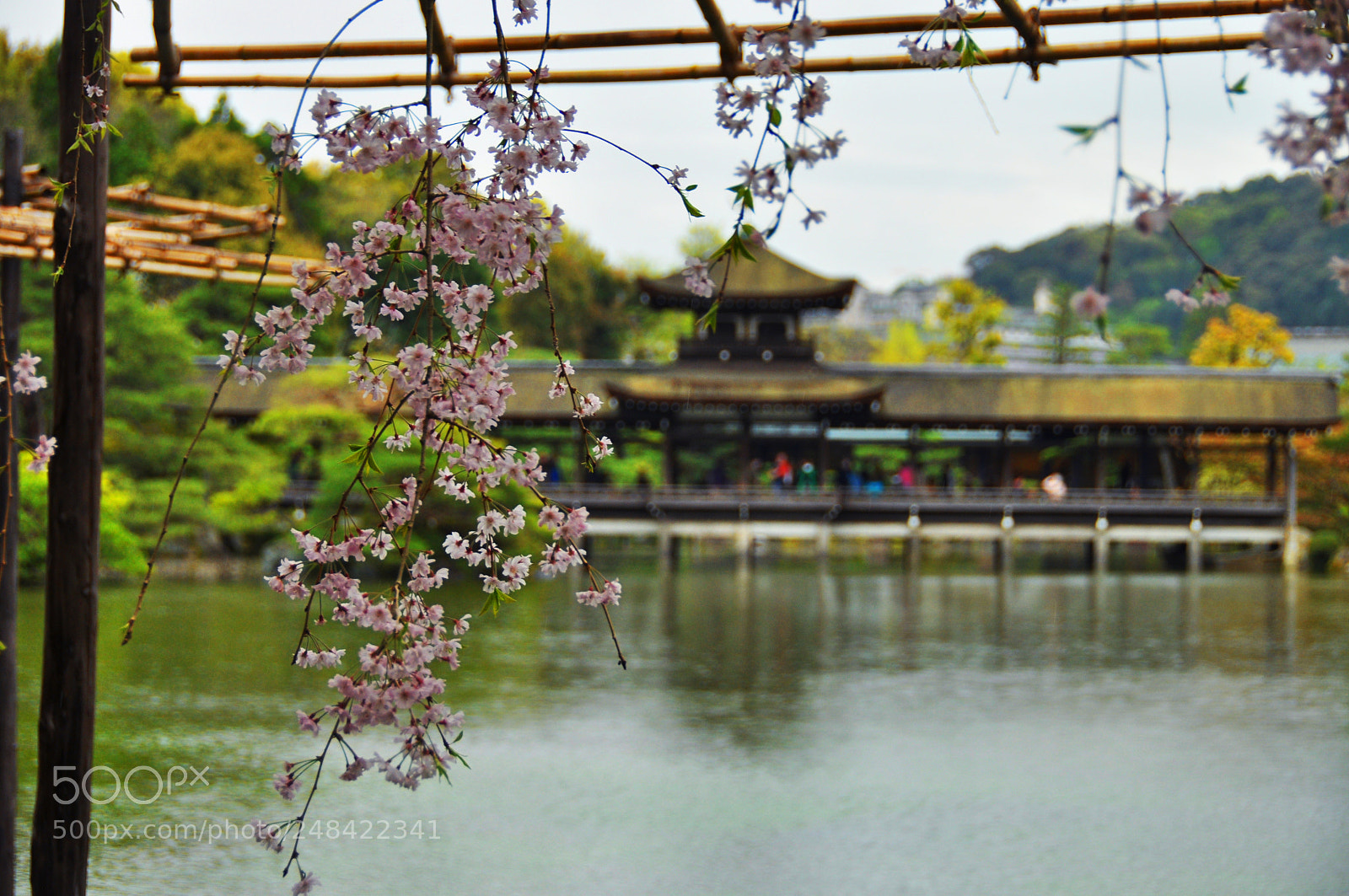 Nikon D5000 sample photo. Imperial garden photography