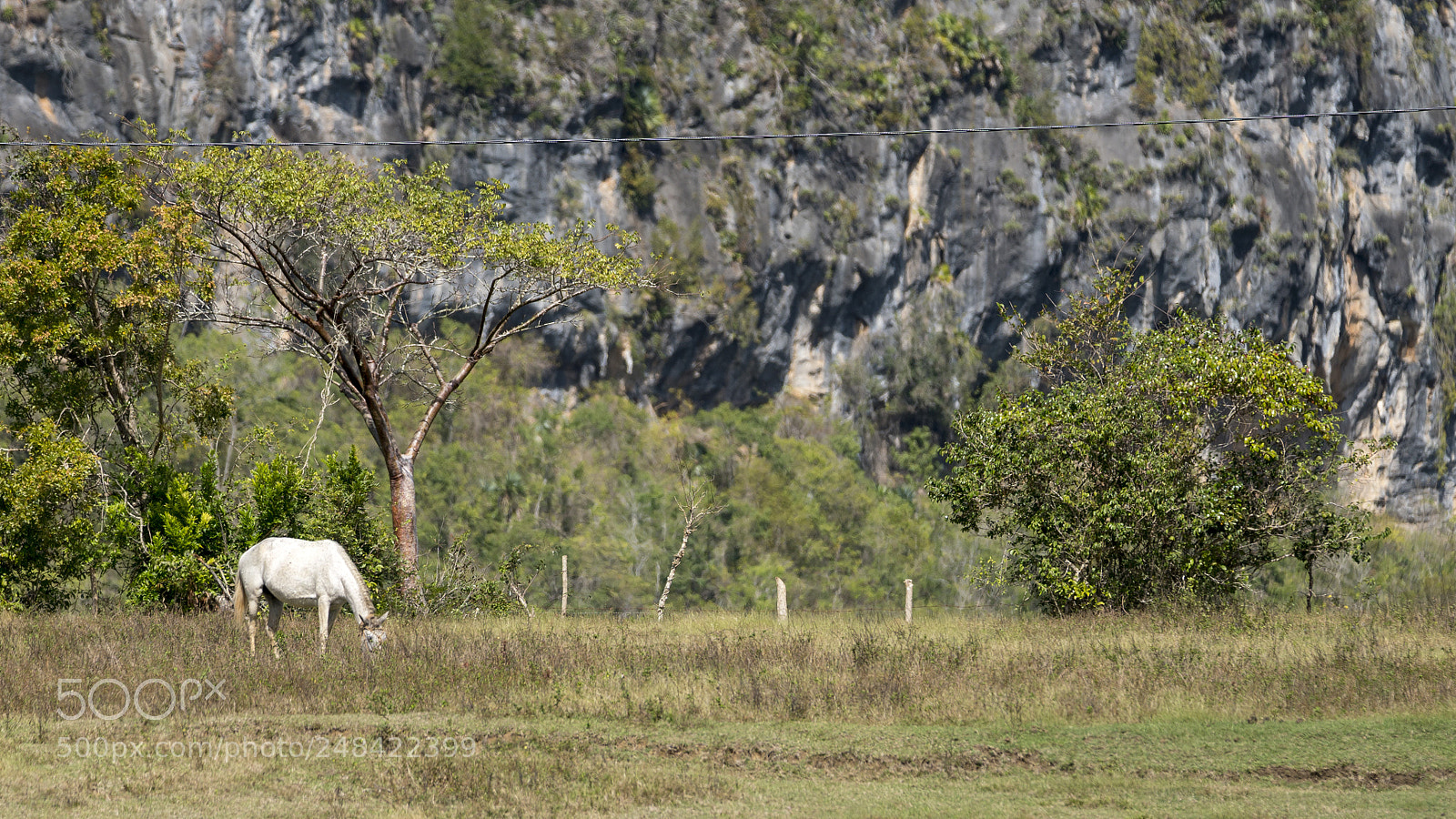 Sony a6500 sample photo. Vinales countryside photography