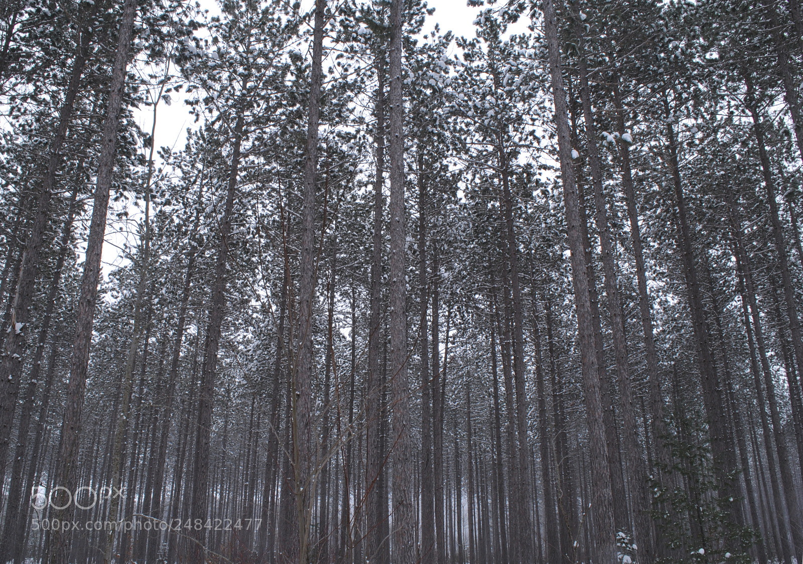 Nikon D3000 sample photo. Location shot photography