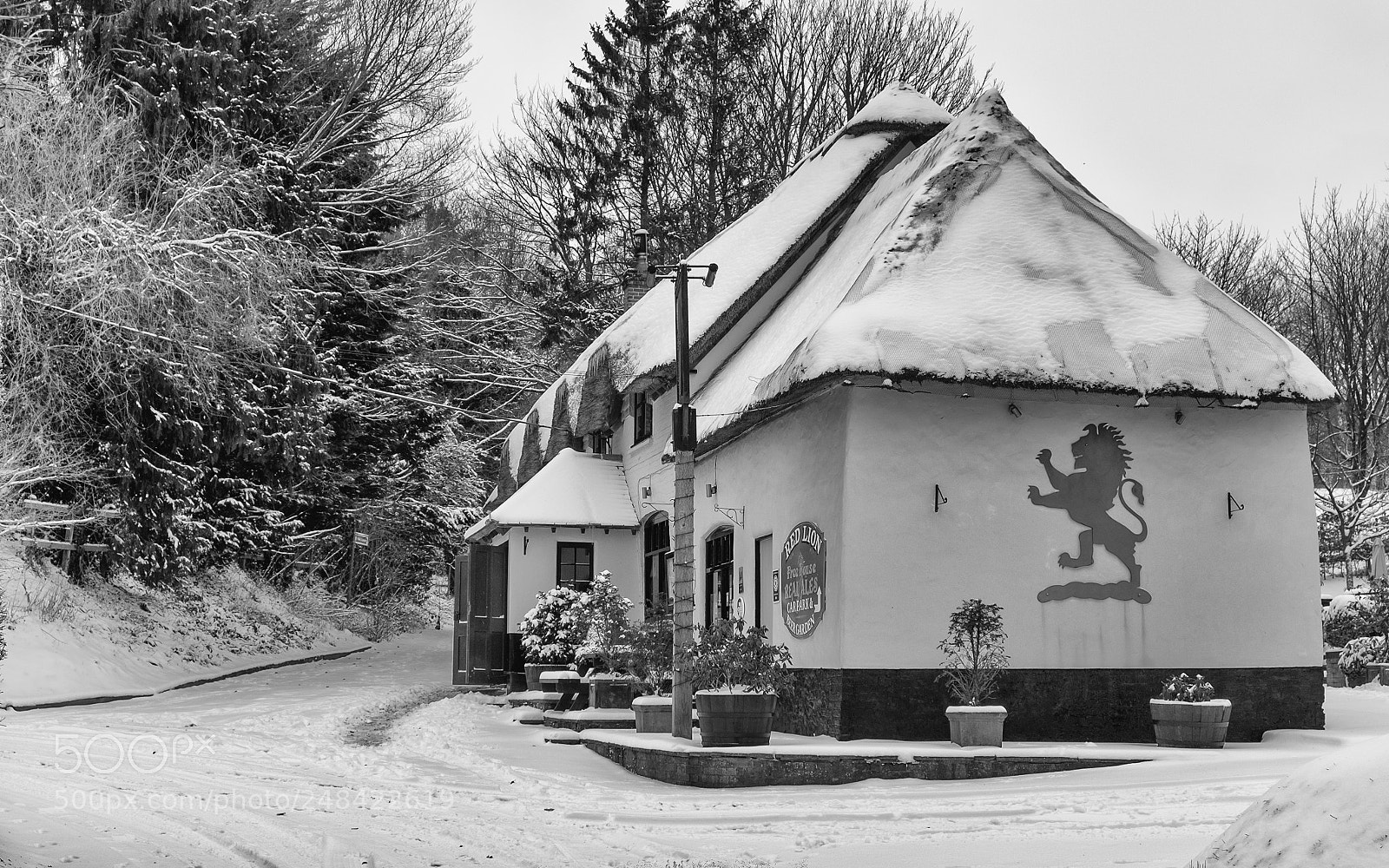 Fujifilm X-Pro1 sample photo. The red lion in photography