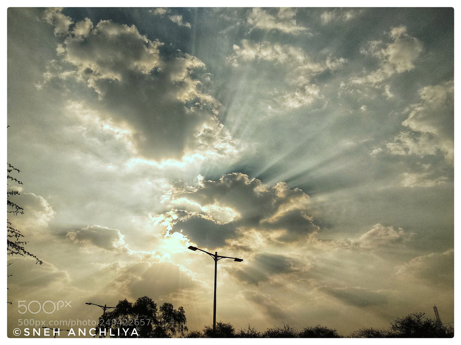 Xiaomi Mi A1 sample photo. Hide & seek photography