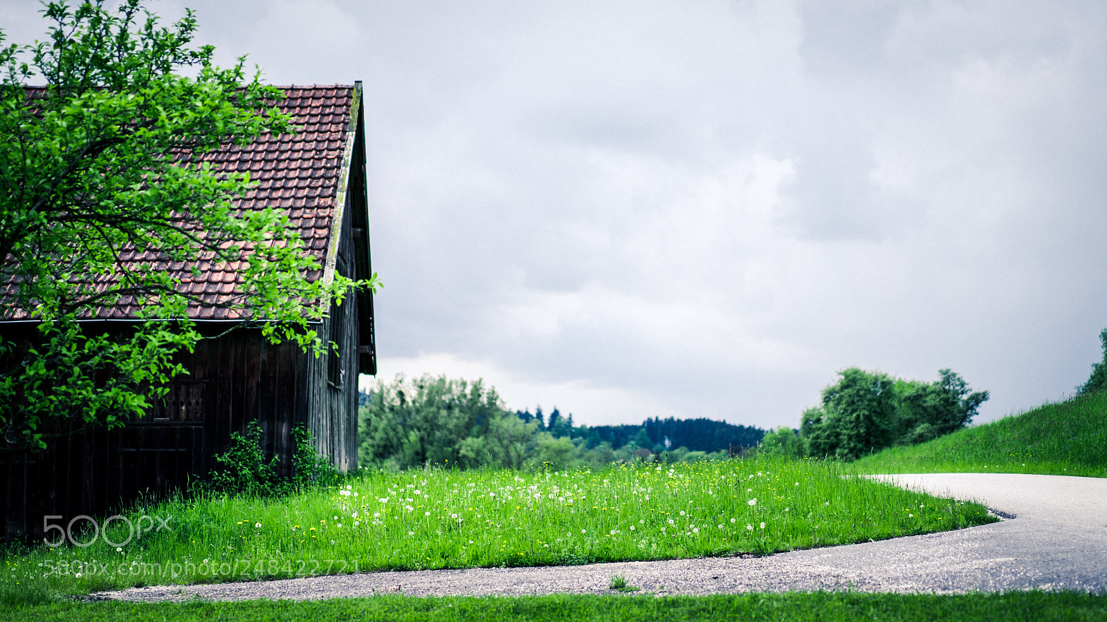 Sony a7 II sample photo. Ambient photography
