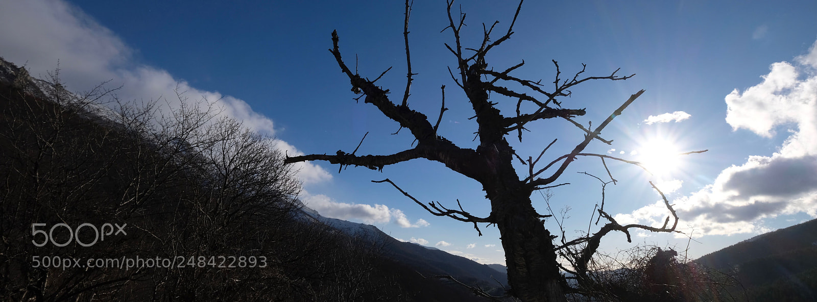 Fujifilm X-E3 sample photo. Dsf photography