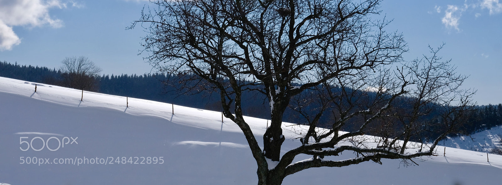 Fujifilm X-E3 sample photo. () photography
