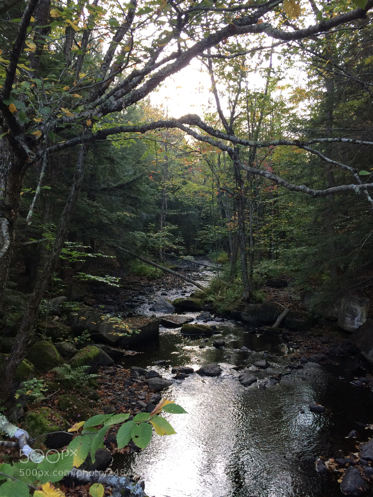 Apple iPhone 5s sample photo. Rivière douce photography