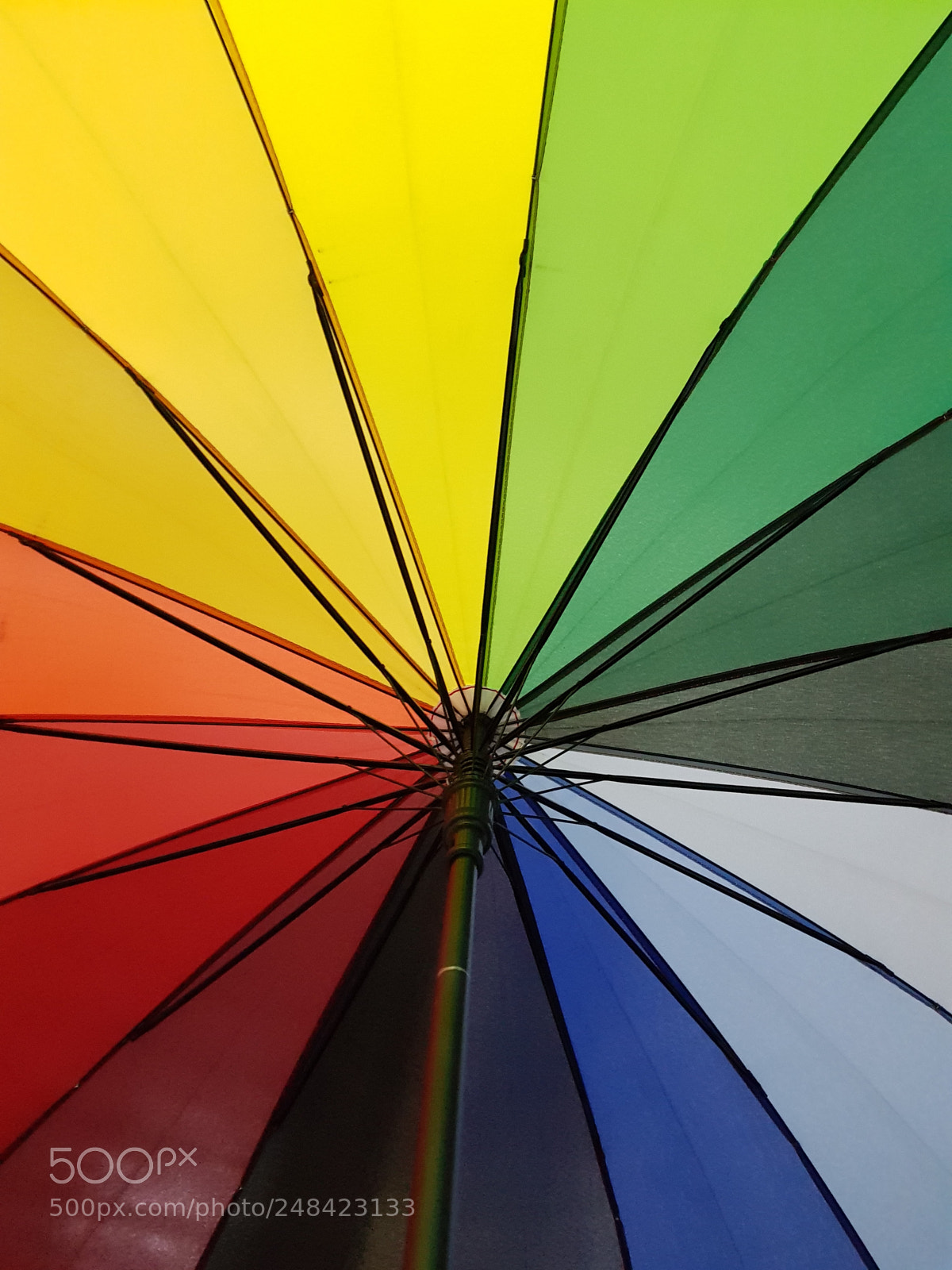 Samsung Galaxy S8 sample photo. Beauty of umbrella photography