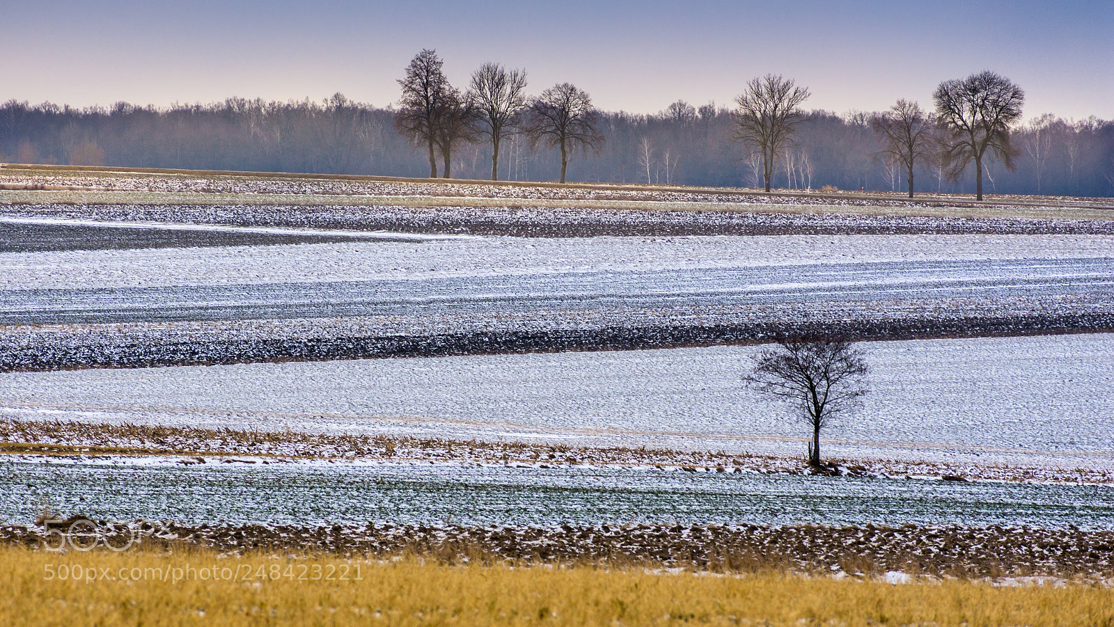 Nikon D7200 sample photo. Colours of winter iii photography