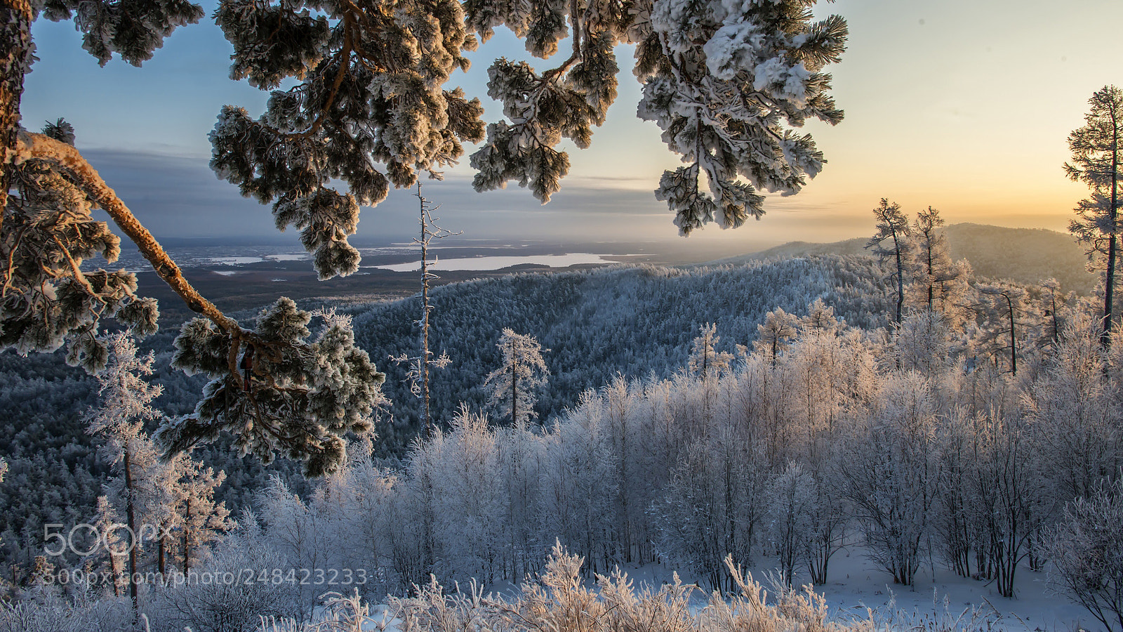Nikon D800 sample photo. Winter evening in the photography