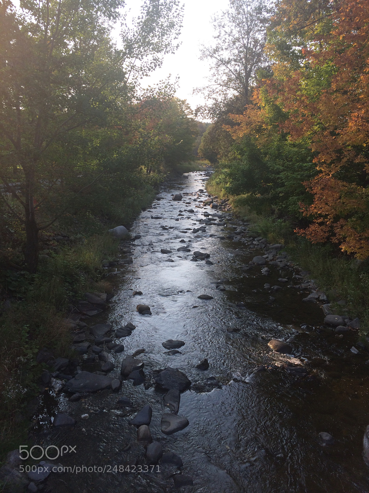 Apple iPhone 5s sample photo. Rivière d'automne photography