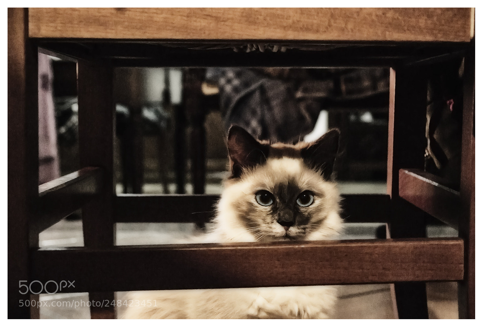 Nikon D3100 sample photo. Hero photography