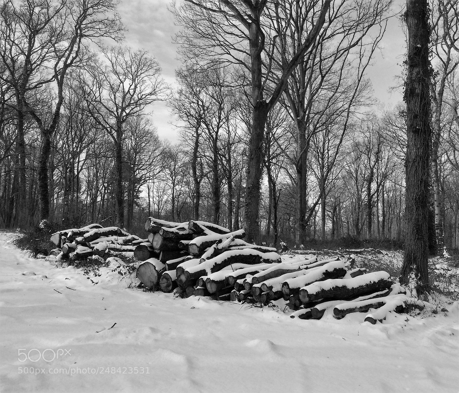 Apple iPhone 5s sample photo. Snow logs in black photography