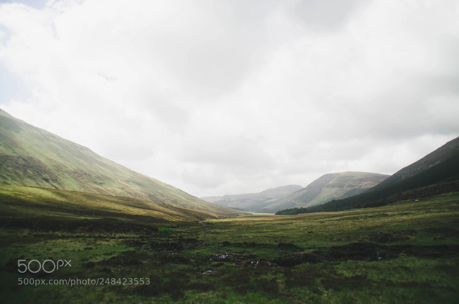 Nikon D5100 sample photo. Fairypools photography
