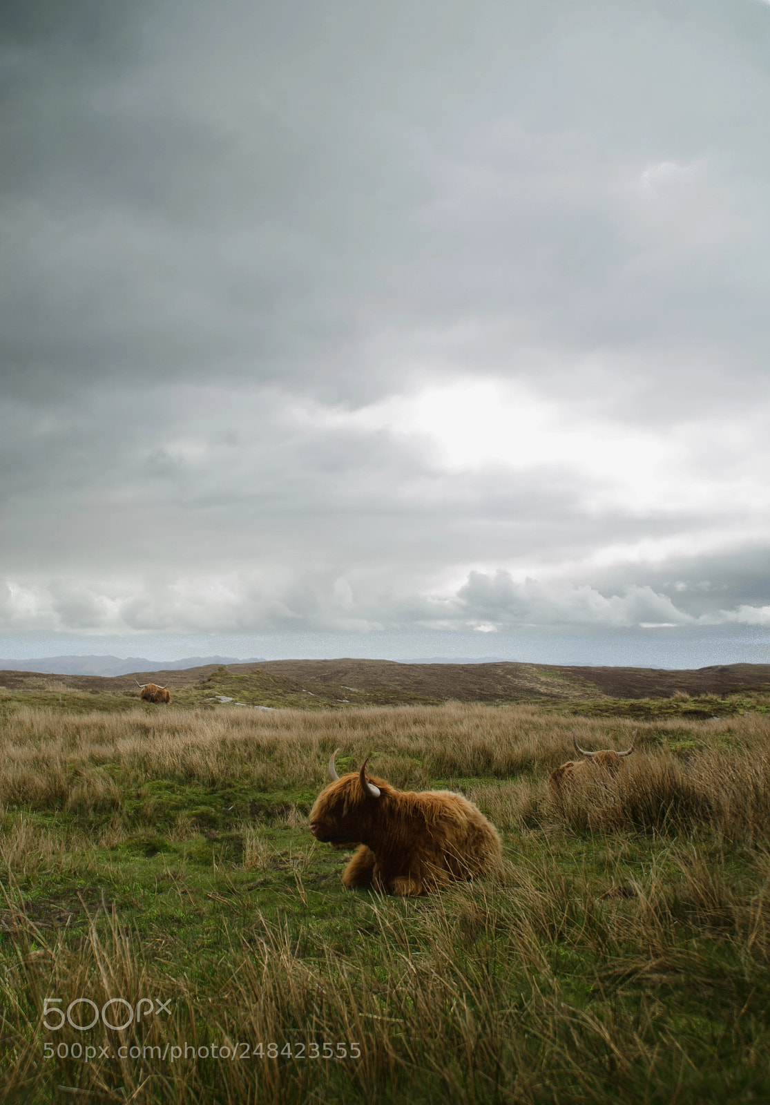 Nikon D5100 sample photo. Highlands photography