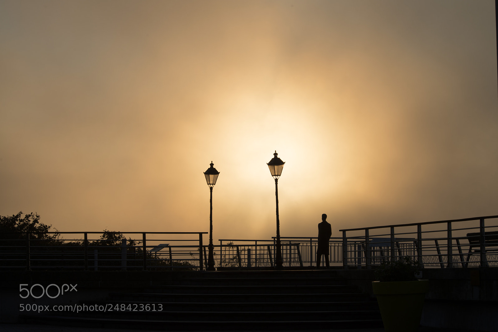 Nikon D800 sample photo. Sunrise,mist photography