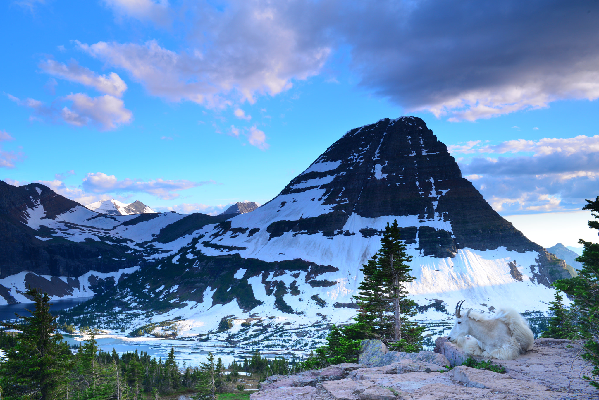 Nikon AF-S Nikkor 24-70mm F2.8G ED sample photo. Place with glacier view photography