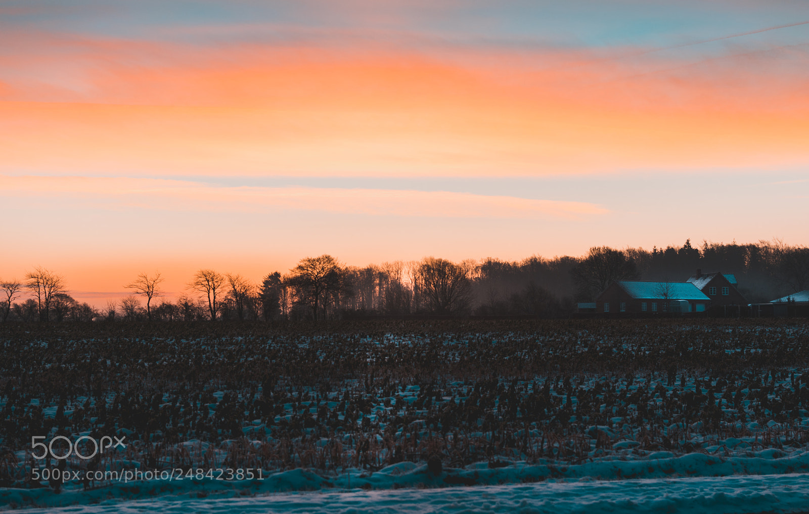 Nikon D5300 sample photo. Dawn breaks orange photography