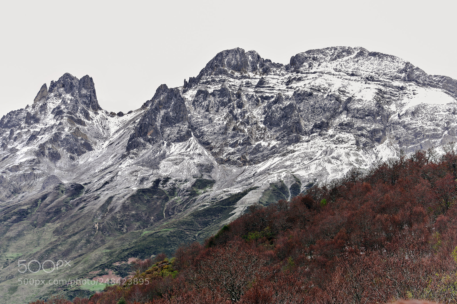 Pentax K-3 sample photo. Picos de europa cantabria photography