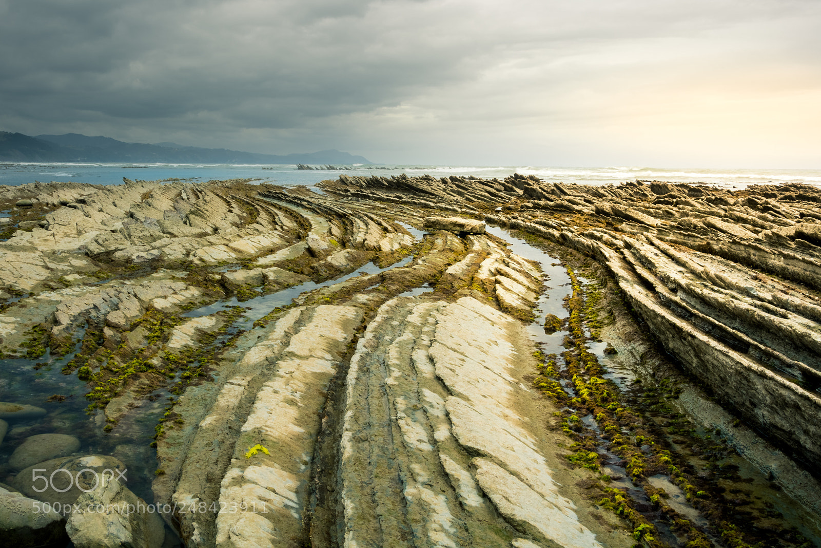 Nikon D7100 sample photo. Sunset serpents photography