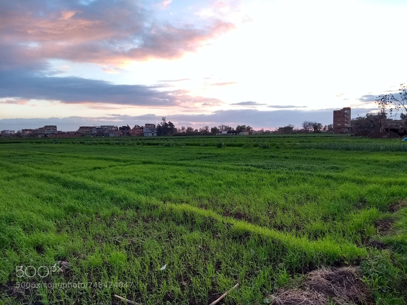 Motorola Moto G (5th Gen) sample photo. Untitled photography