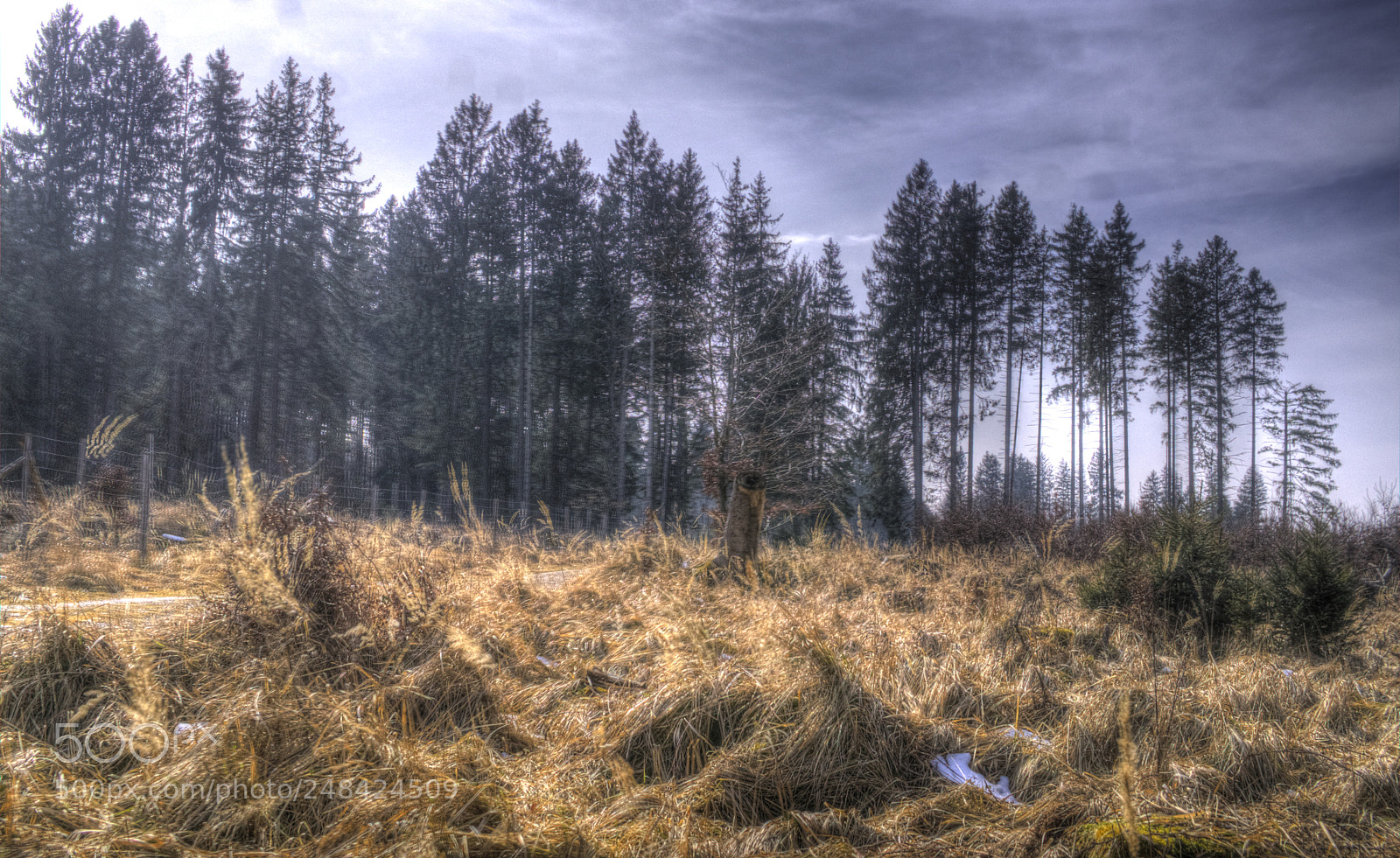 Sony a6000 sample photo. Man m chte wild photography