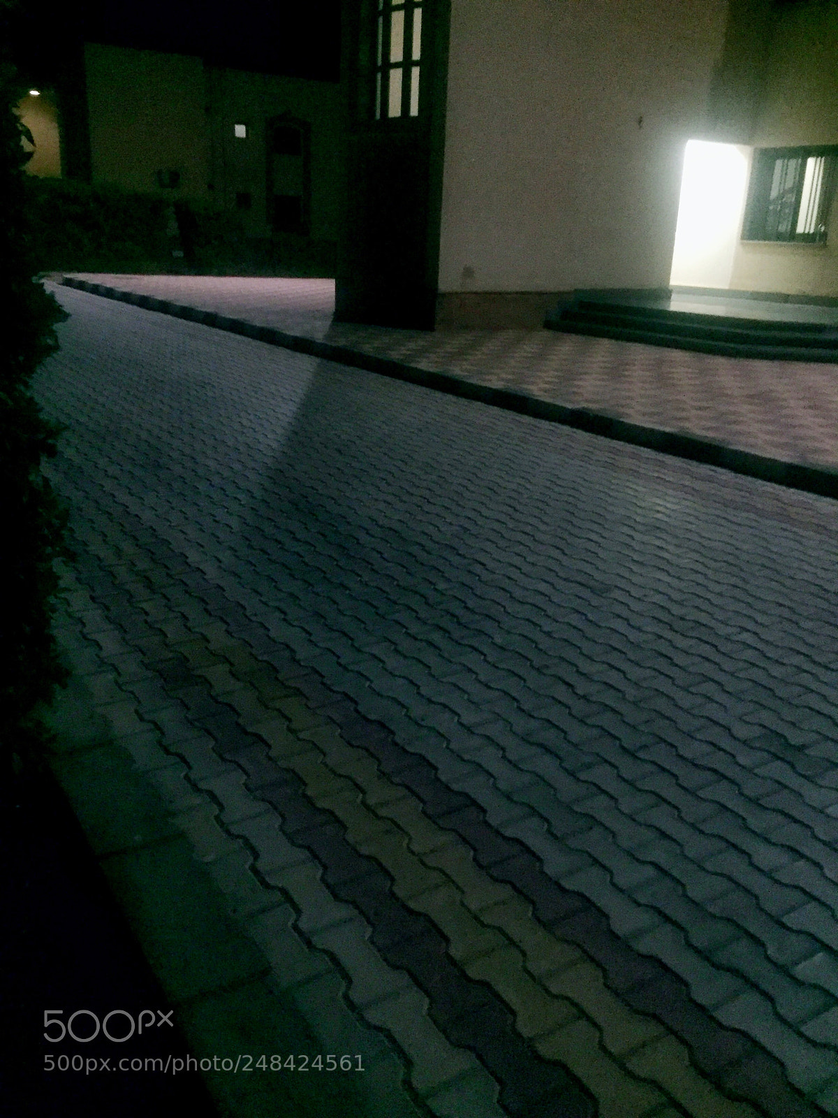 Apple iPhone 6 sample photo. Untitled photography