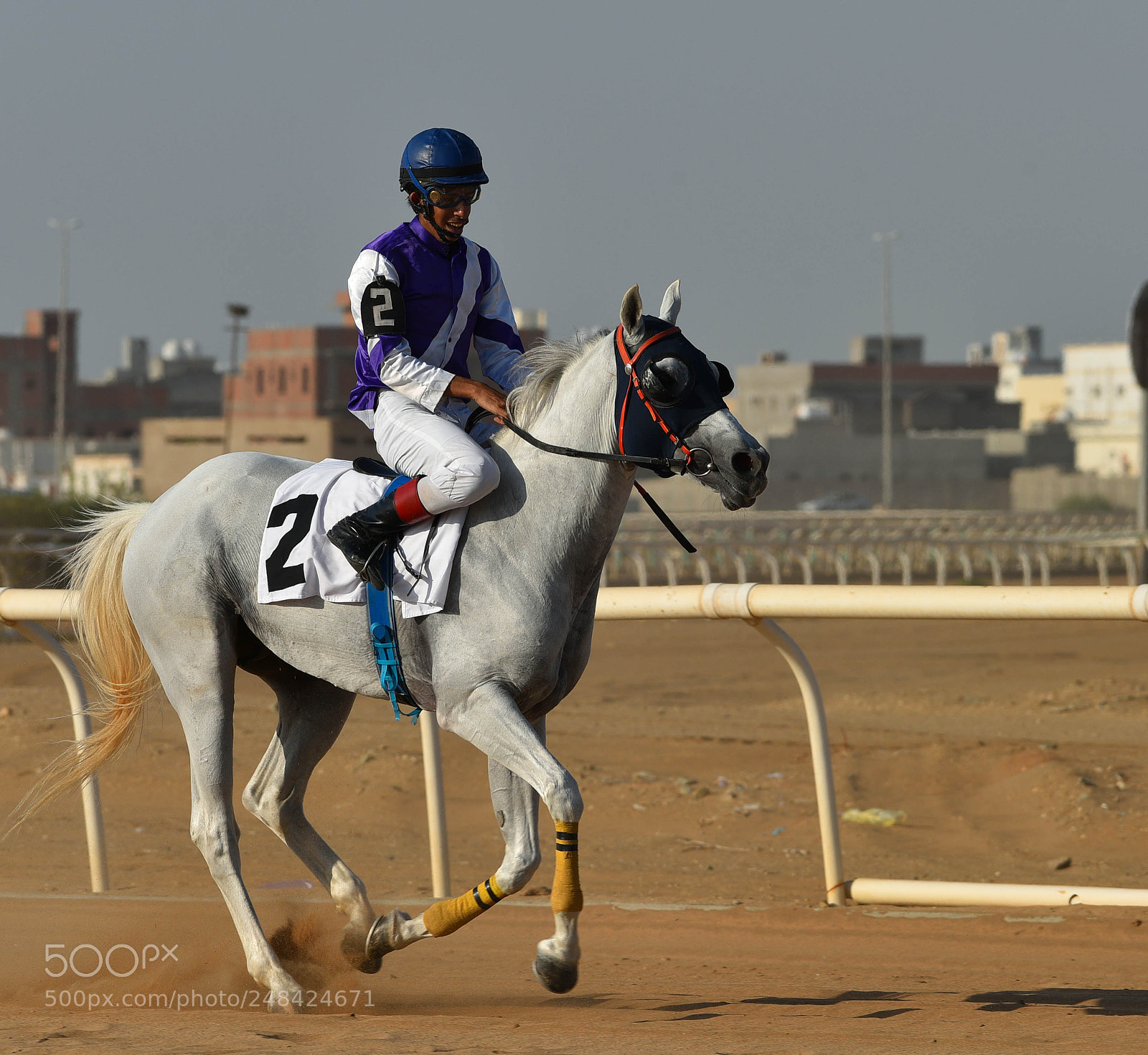 Nikon D810 sample photo. 1 photography