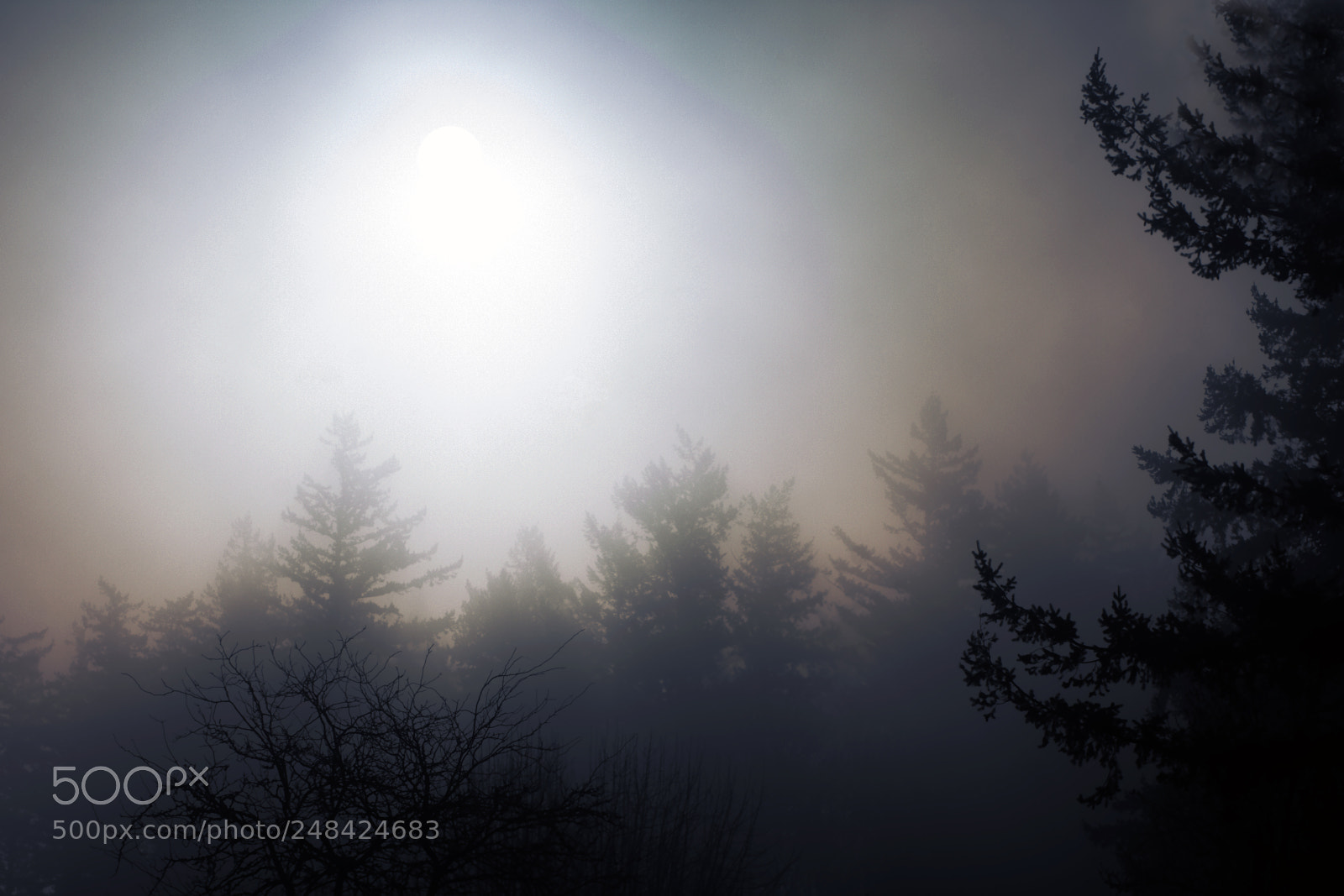 Nikon D7200 sample photo. Blurred sunrise photography