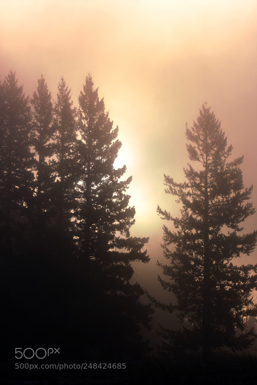 Nikon D7200 sample photo. Blurred sunrise photography