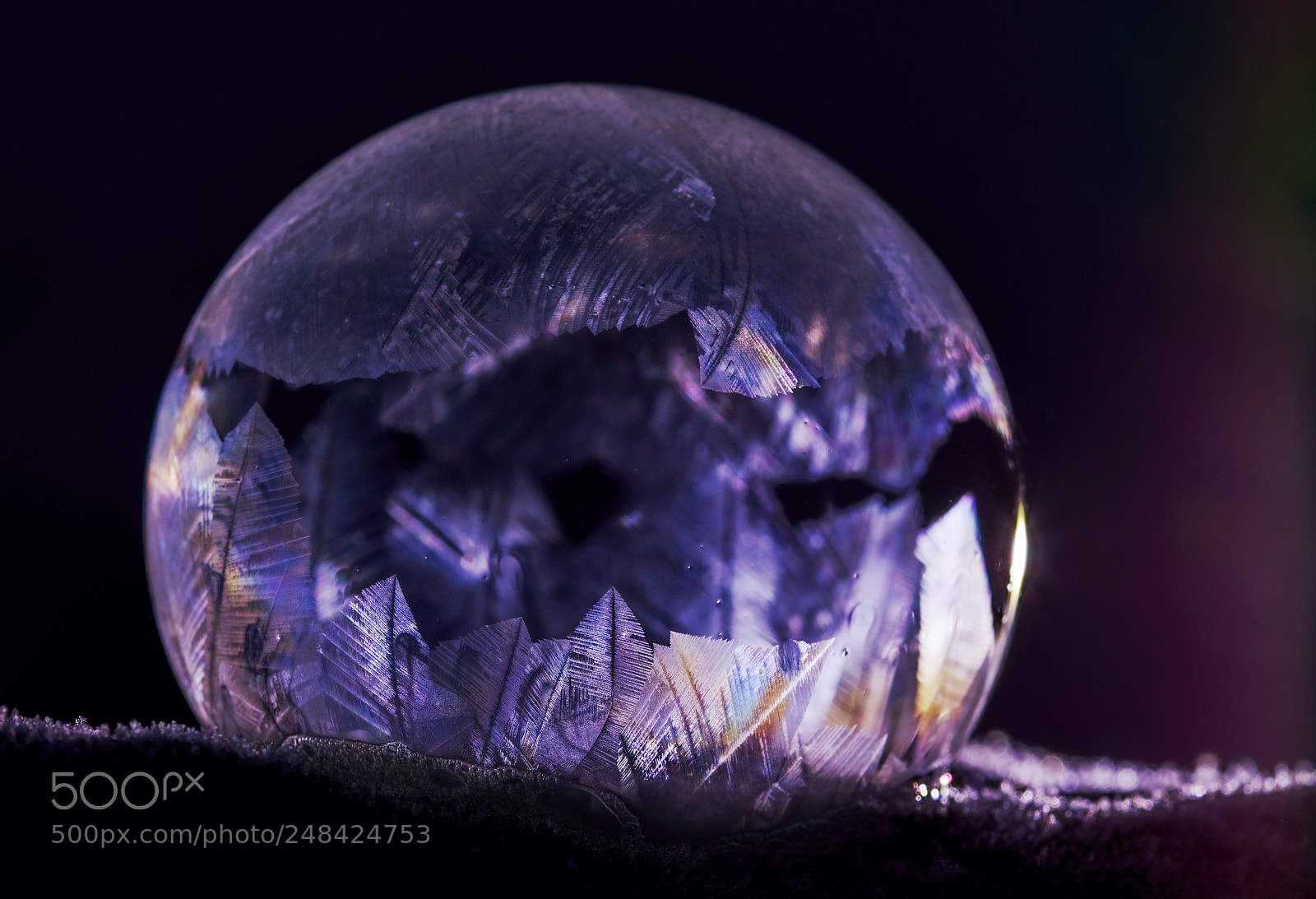 Nikon D7200 sample photo. Ice world photography