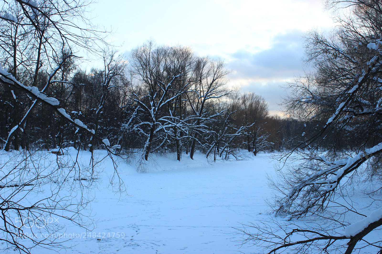 Canon EOS 600D (Rebel EOS T3i / EOS Kiss X5) sample photo. *** photography