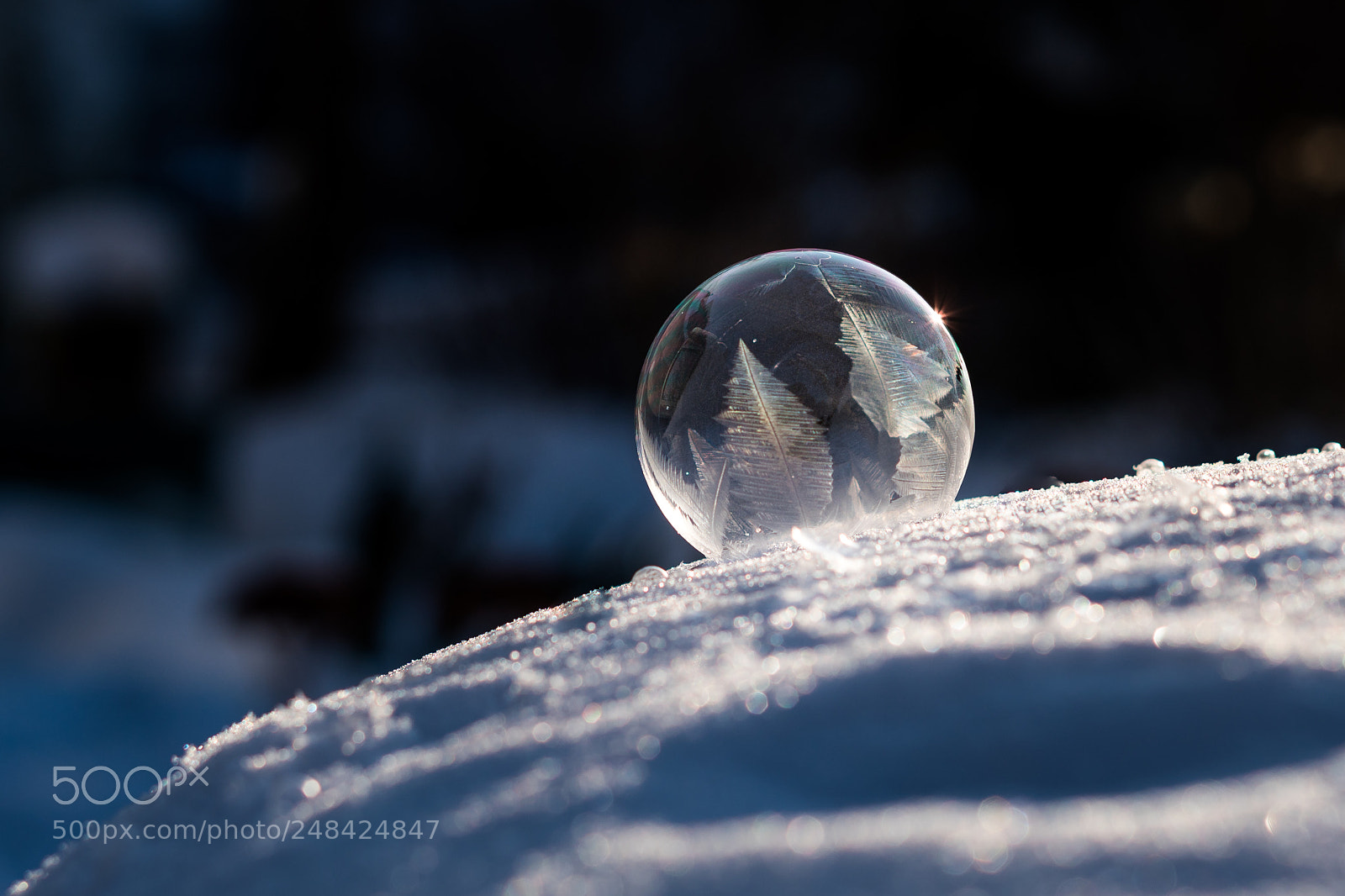 Sony a6500 sample photo. Frozen photography