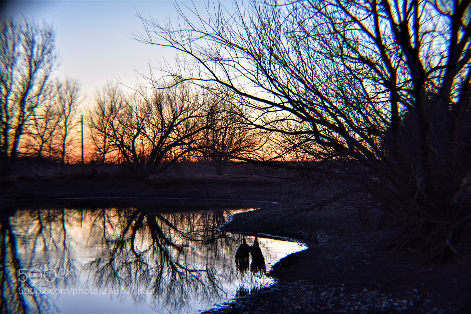 Nikon D3400 sample photo. () edited photography
