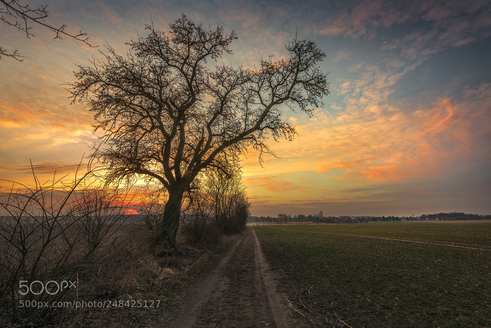 Nikon D810 sample photo. Alter landweg photography