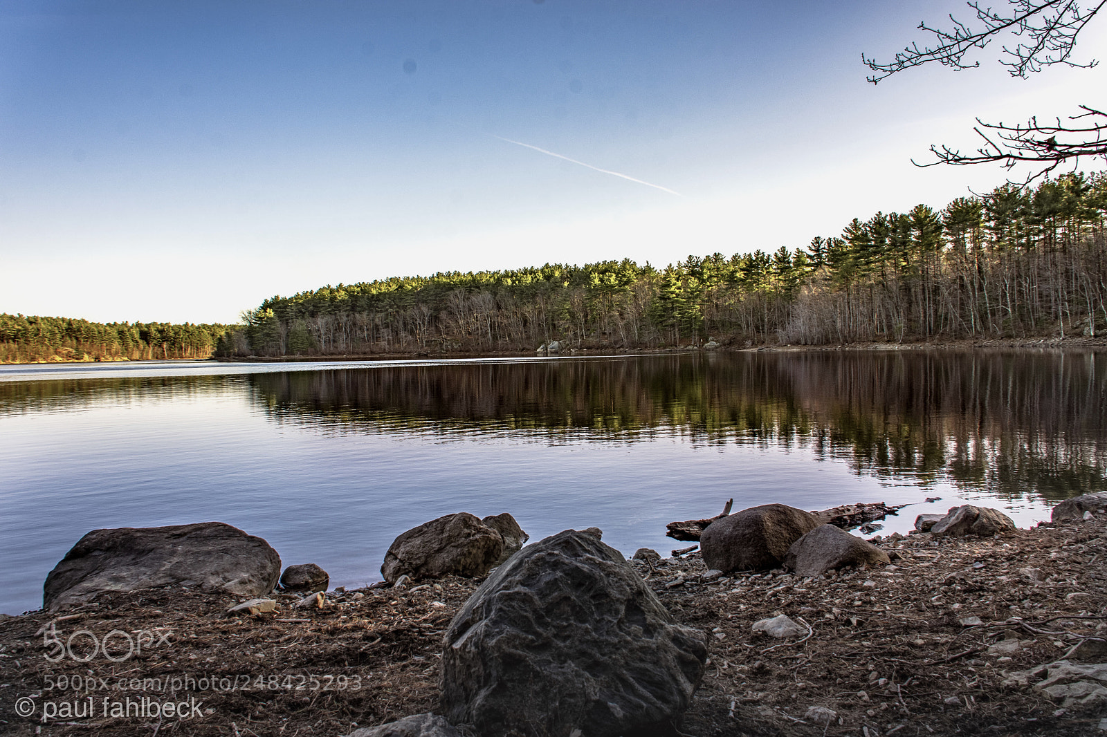 Nikon D7200 sample photo. Untitled photography