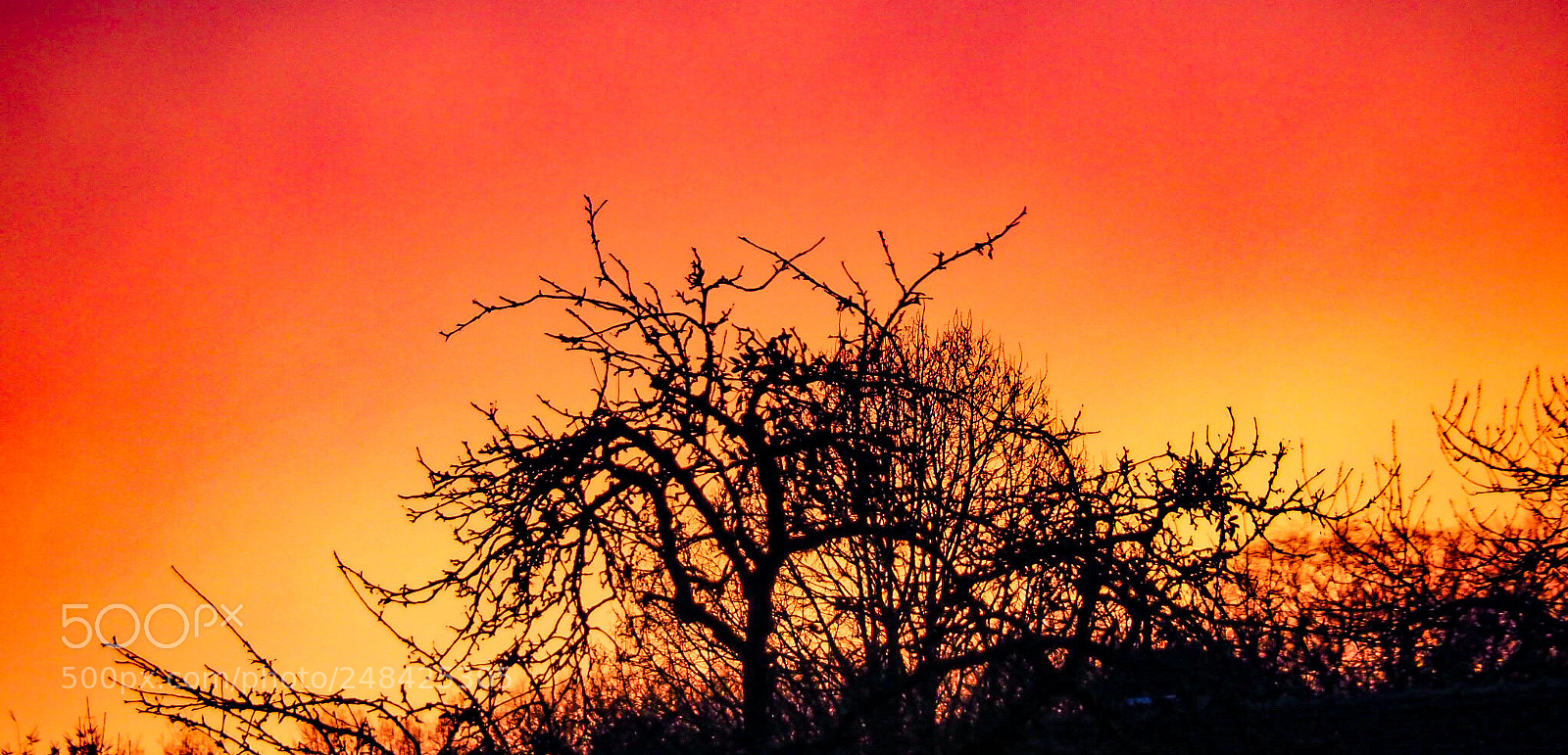 Olympus PEN-F sample photo. Coucher de soleil photography