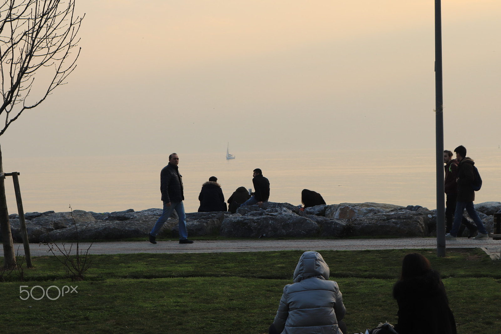 Canon EOS 200D (EOS Rebel SL2 / EOS Kiss X9) sample photo. Independent relations photography
