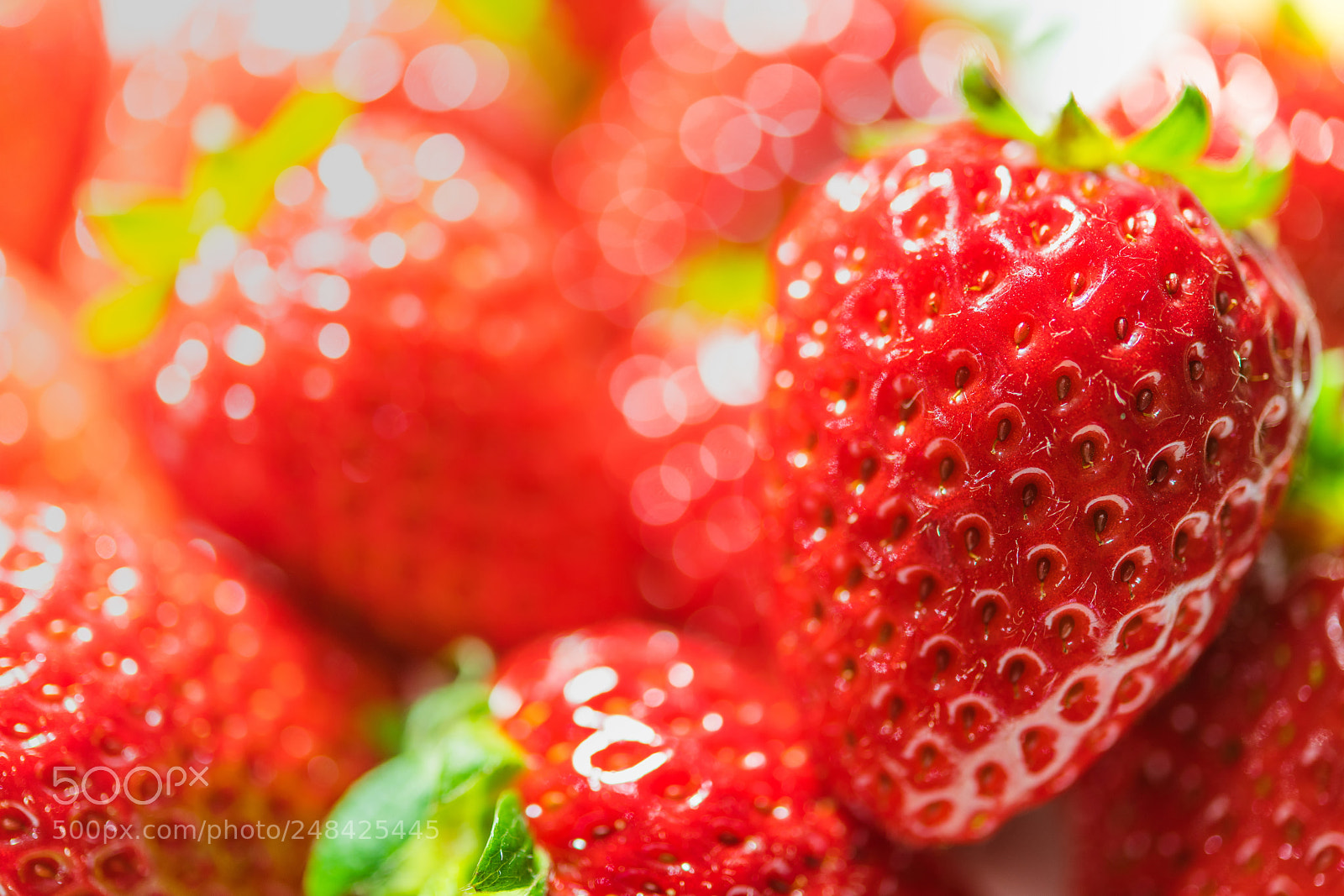 Nikon D850 sample photo. Fresh delicious red strawberry photography