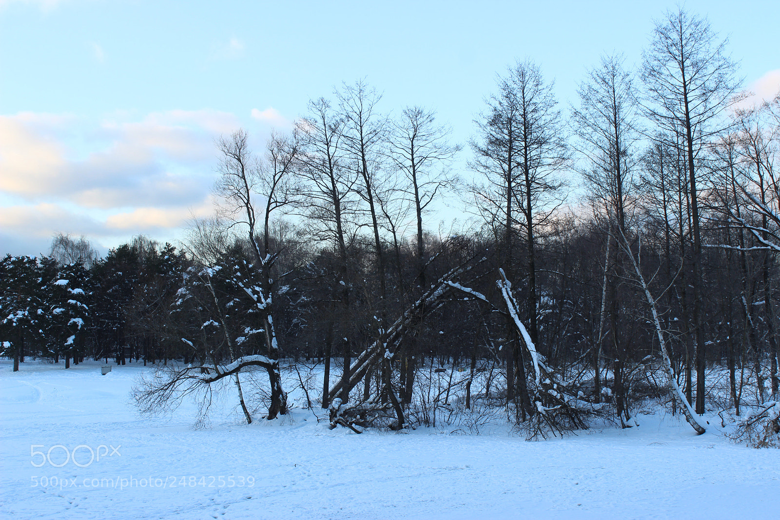 Canon EOS 600D (Rebel EOS T3i / EOS Kiss X5) sample photo. *** photography
