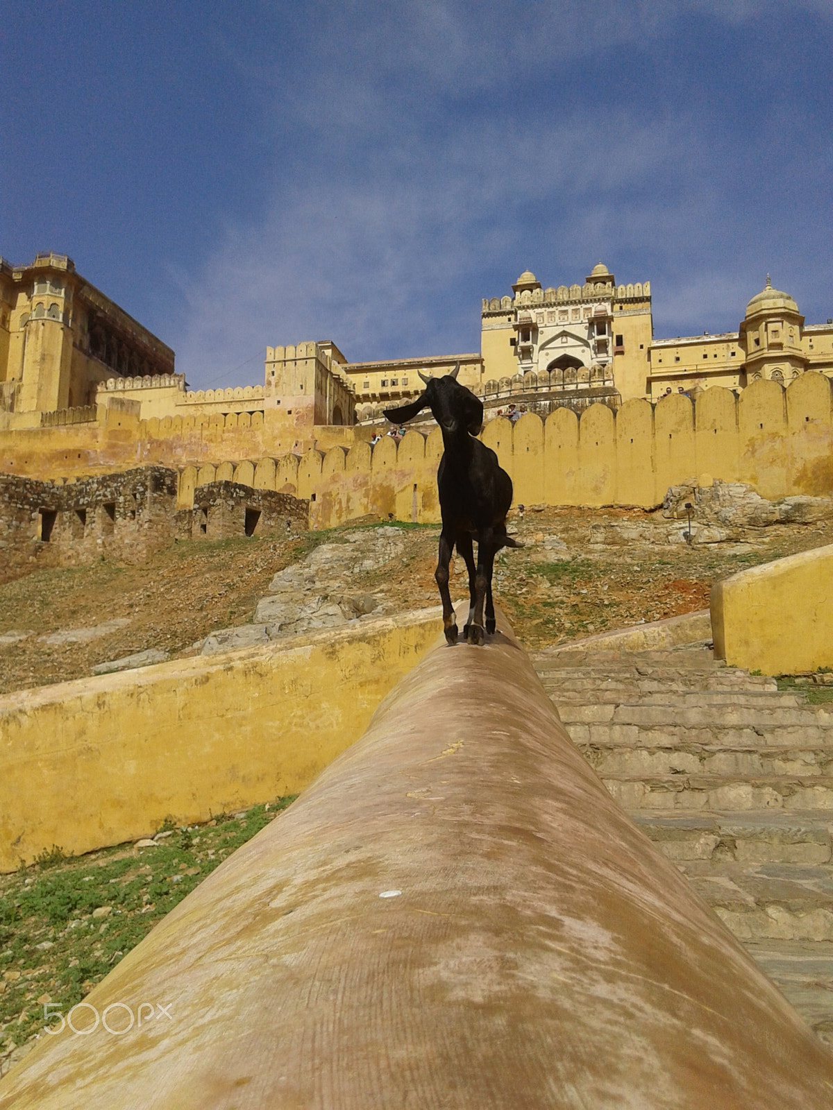 Samsung Galaxy Core sample photo. Aamerfort photography