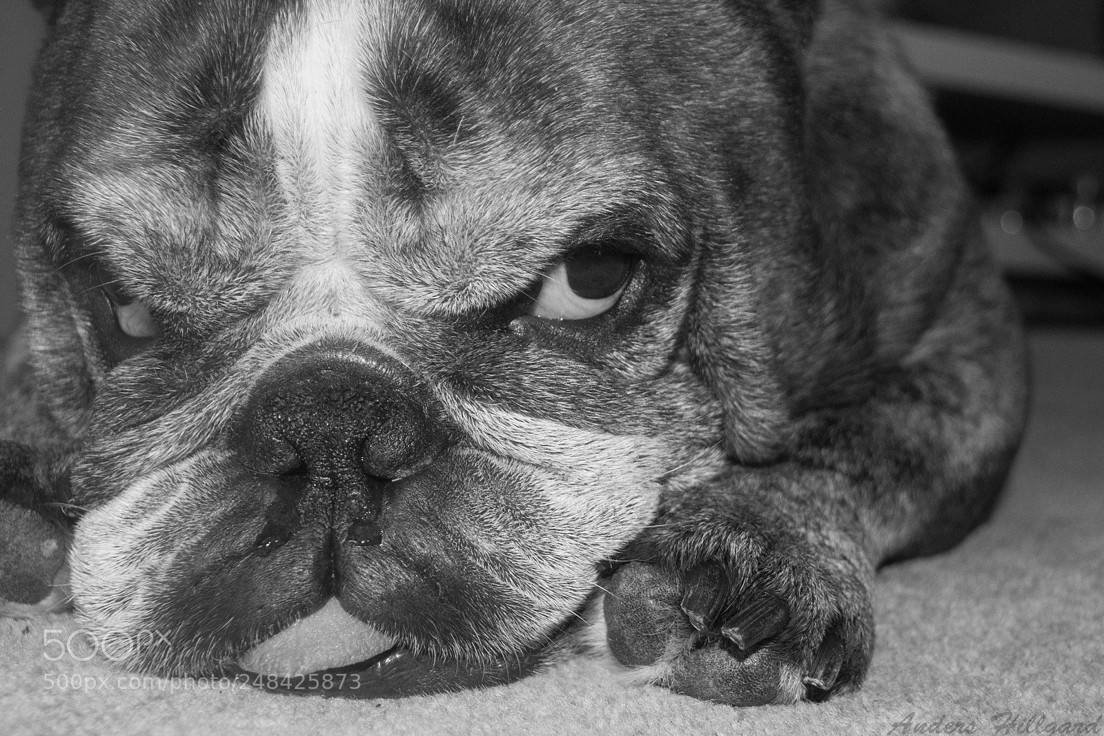 Nikon D3100 sample photo. Black and white photography