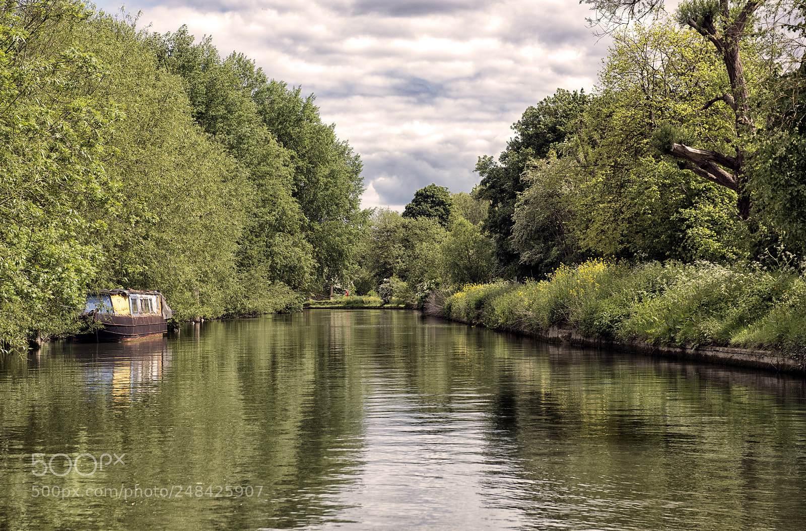 Nikon D810 sample photo. Through the green photography