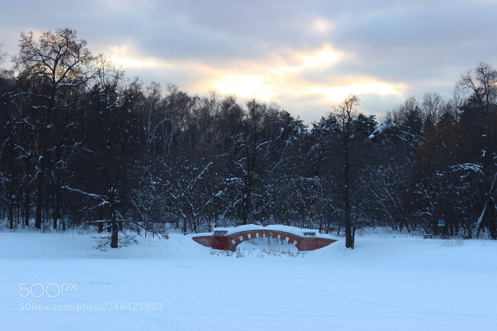 Canon EOS 600D (Rebel EOS T3i / EOS Kiss X5) sample photo. *** photography