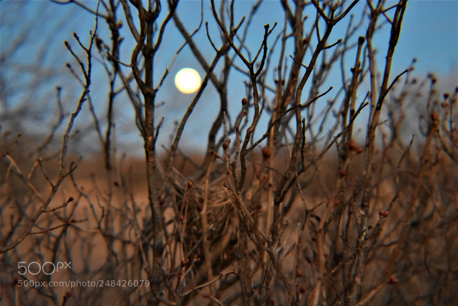 Nikon D3400 sample photo. () photography